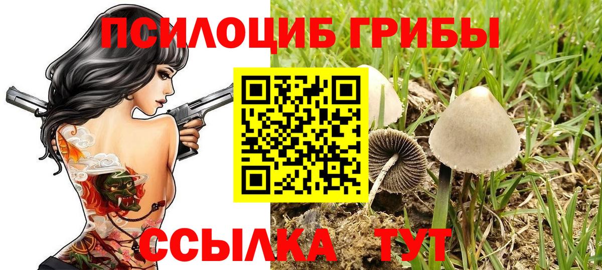 Карпинск  Галлюциногенные грибы GOLDEN TEACHER  Вход с VPN 