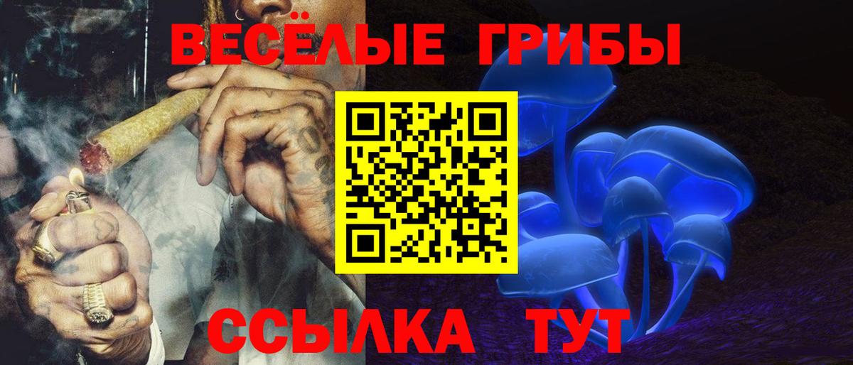 Псилоцибиновые грибы Psilocybe Карпинск